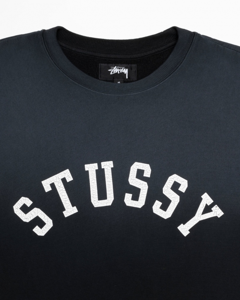 Stussy Sun Faded Oversized Crew - Unisex Hoodies Zwart | ANLWC36306