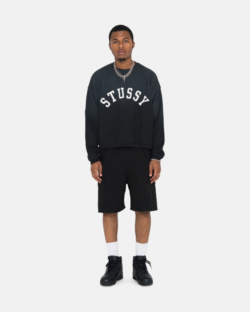 Stussy Sun Faded Oversized Crew - Unisex Hoodies Zwart | ANLWC36306