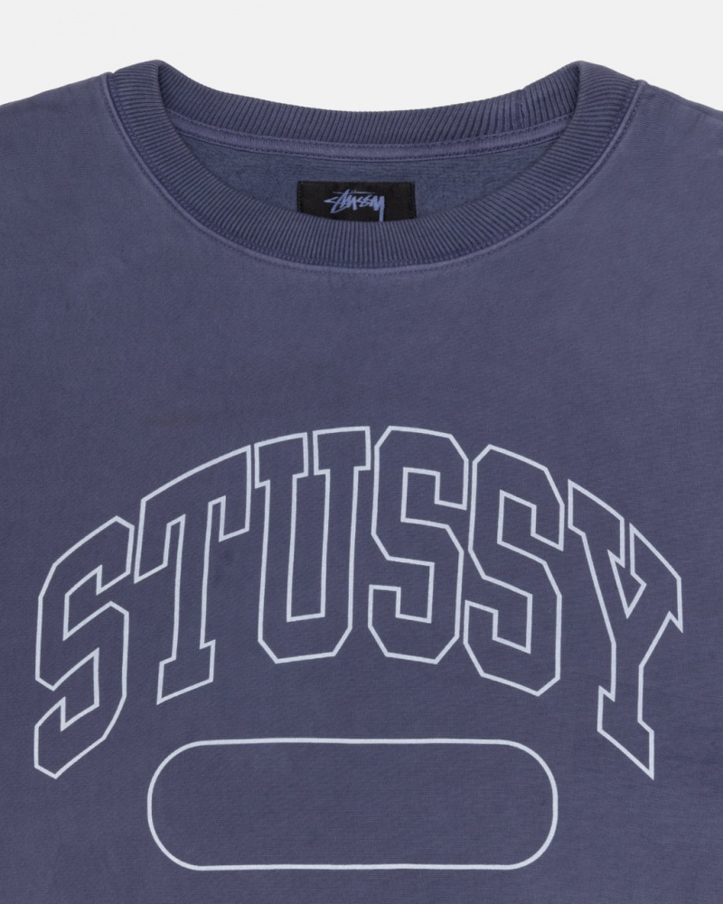 Stussy Varsity Oversized Crew - Unisex Hoodies Blauw | NLCVG12956